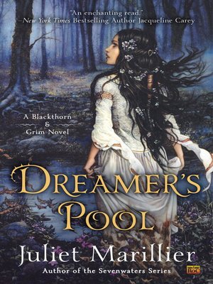 cover image of Dreamer's Pool